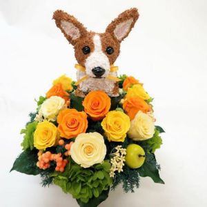 コーギー　犬花