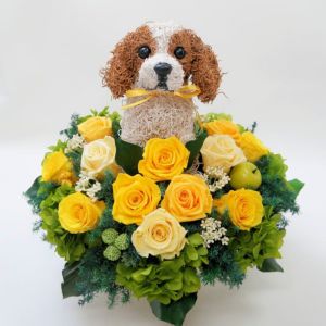 キャバリア　犬花