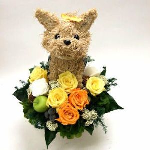 ヨークシャテリア　犬花