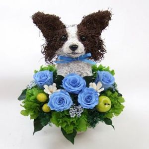 パピヨン　犬花