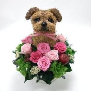 ノーフォークテリア　犬花