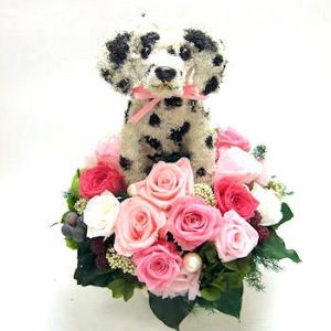 ダルメシアン　犬花