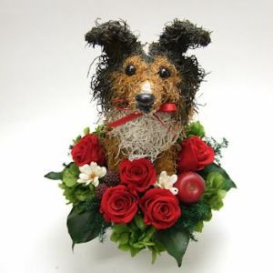 シェットランドシープドッグ　犬花