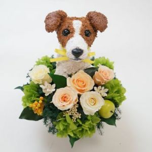 ジャックラッセルテリア　犬花