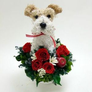 ワイヤーフォックステリア　犬花