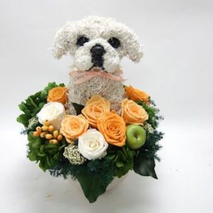 ペキニーズ　フラワードッグ