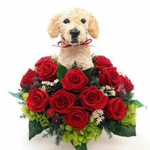 ラブラドールレトリバー　犬花