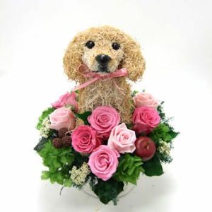 ゴールデンレトリバー　犬花