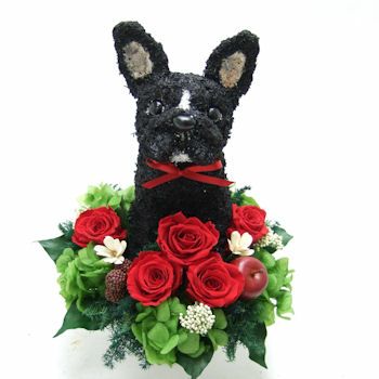 売り出し超高品質 プリザーブドフラワーアレンジ犬 白柴犬 cute 結婚