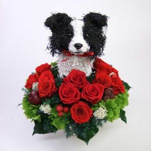 ボーダーコリー　犬花