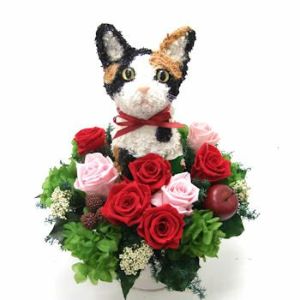 三毛猫　猫花