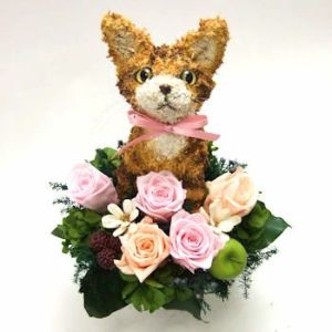 茶トラ猫　猫花