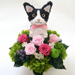 白黒猫　猫花