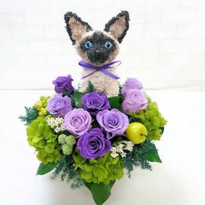 シャムネコ　猫花