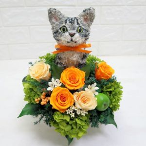 サバトラ猫　猫花