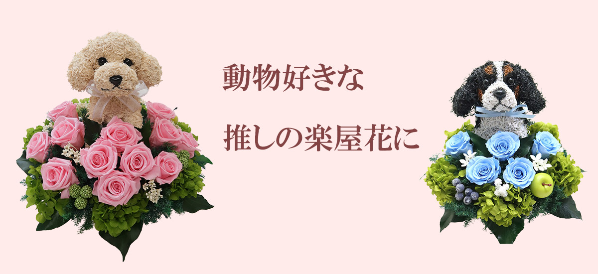 推し活　推しへプレゼント　楽屋花