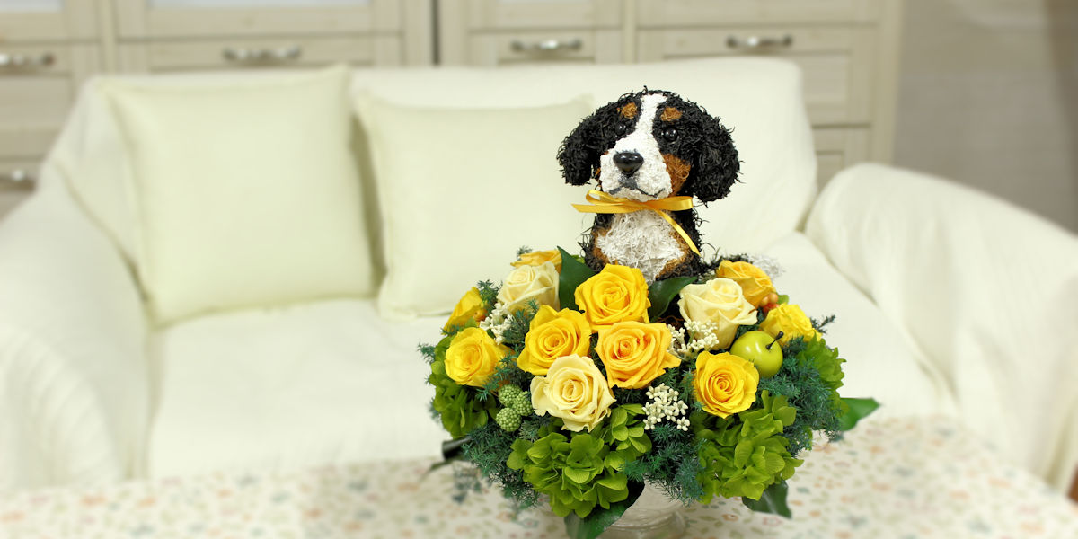 バーニーズマウンテンドッグ プリザーブドフラワー犬 犬花ギフト アトリエ花倶楽部 バーニーズマウンテンドッグ プリザーブドフラワー犬 犬花ギフト アトリエ花倶楽部