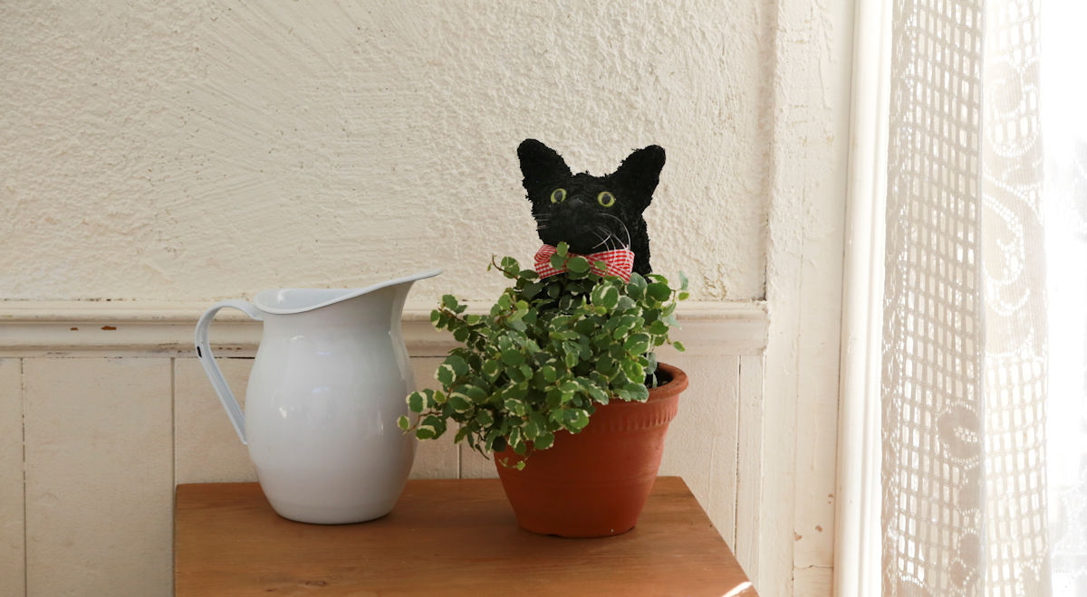 黒猫 プリザーブドフラワー 猫花プレゼント アトリエ花倶楽部 黒猫 プリザーブドフラワー 猫花プレゼント アトリエ花倶楽部
