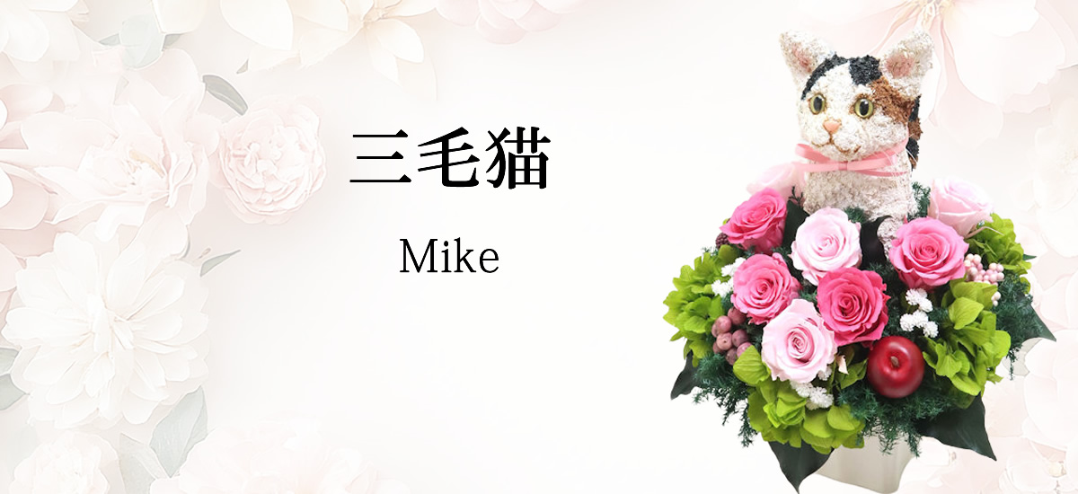 三毛猫グッズ,猫フラワープレゼント,猫花
