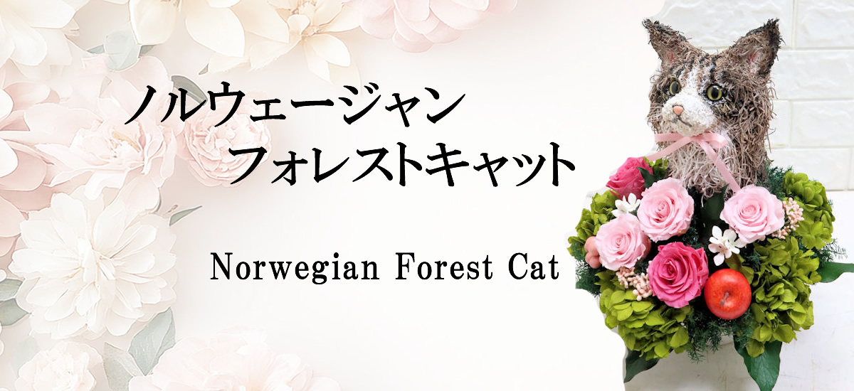 猫グッズ,ノルウェージャンフォレストキャット,猫花