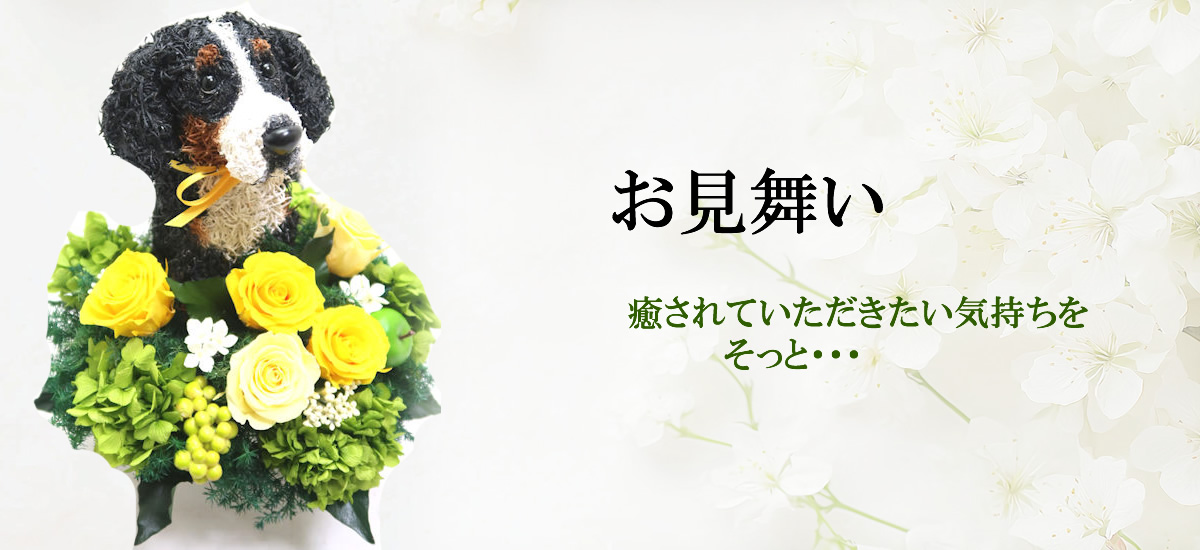 お見舞い,お見舞い花,猫花,犬花