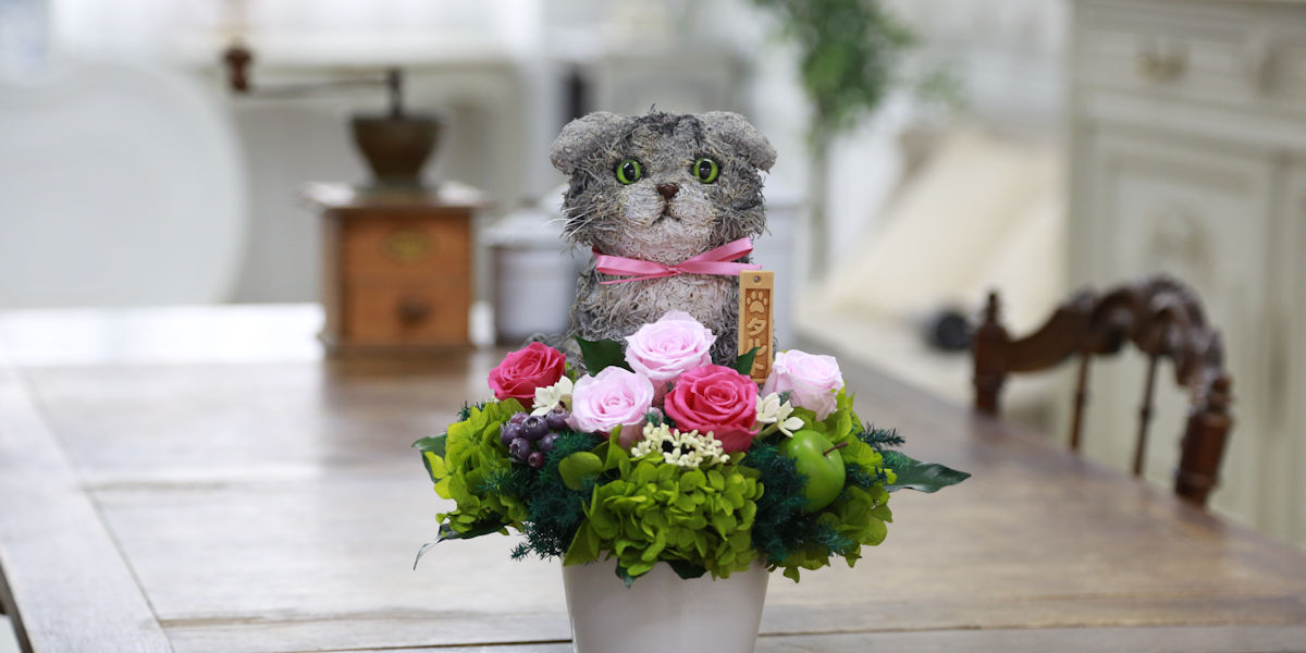 スコティッシュフォールド 猫花プレゼント-アトリエ花倶楽部