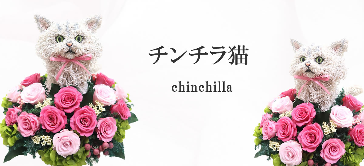 チンチラ猫グッズ,チンチラ猫プレゼント
