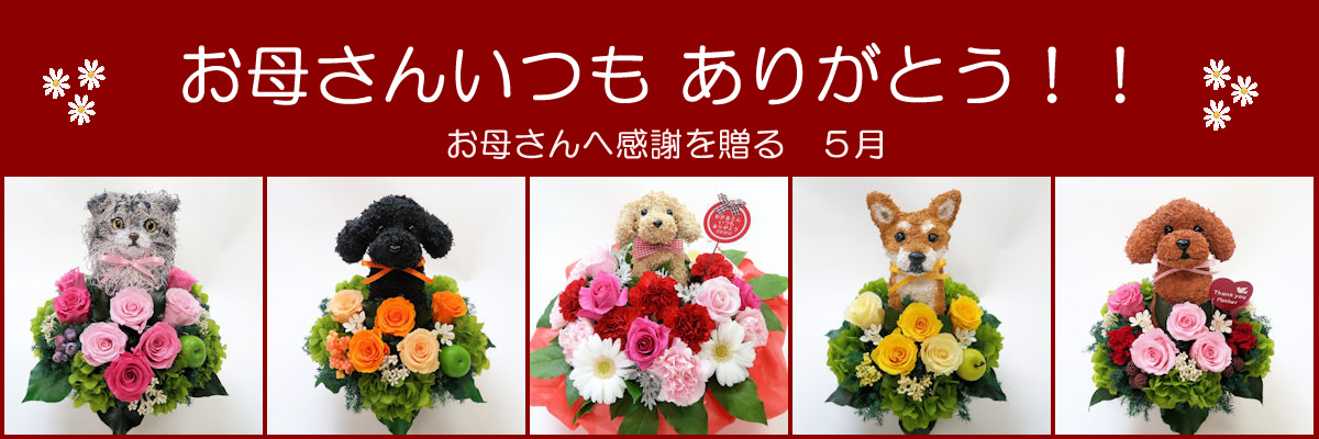 母の日犬,母の日猫,母の日プリザーブドフラワー,母の日フラワーギフト販売