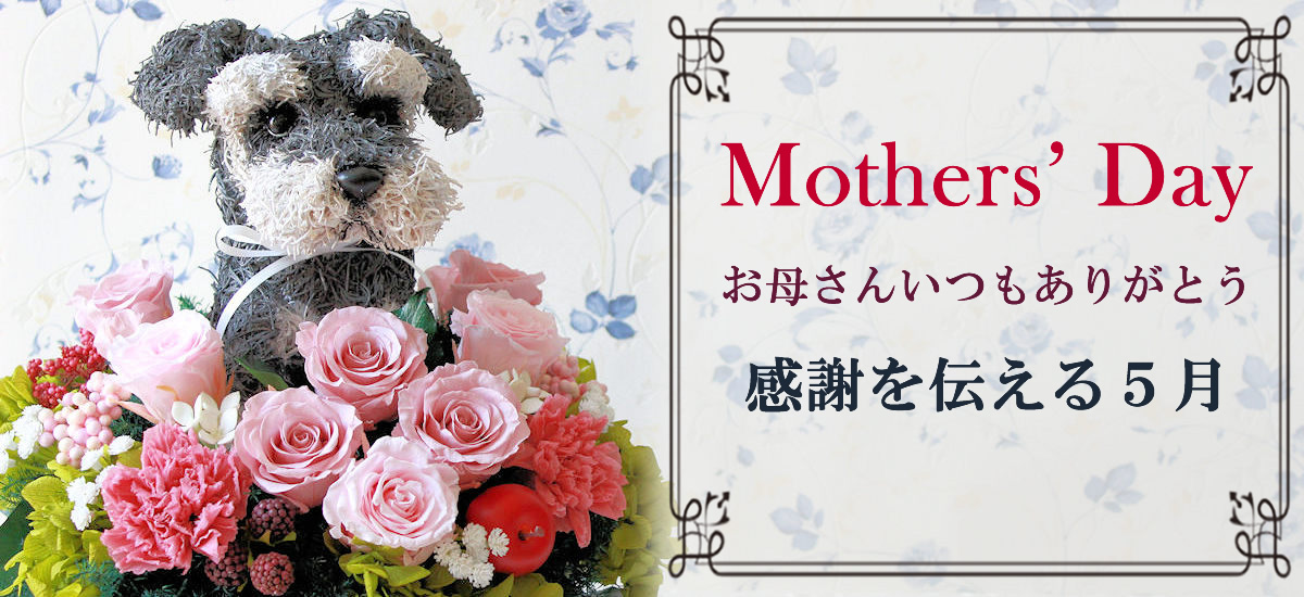 母の日プレゼント犬 母の日犬 母の日猫