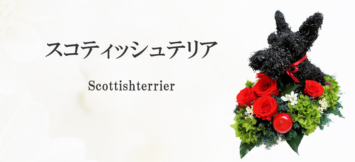 スコティッシュテリアグッズ,おしゃれなプレゼント