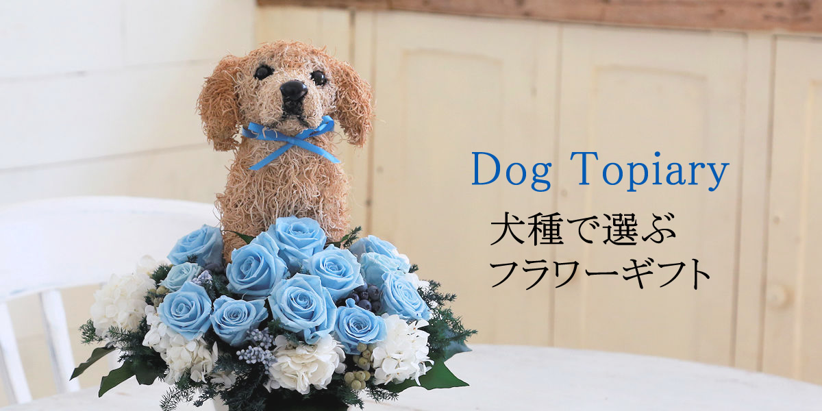 犬猫動物トピアリー フラワーギフト制作販売アトリエ花倶楽部