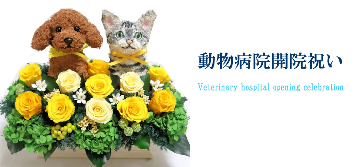 動物病院開院祝い 動物病院開院祝い花 犬猫花