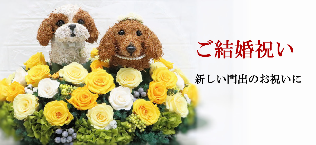 結婚祝い犬好き 結婚祝い猫好き