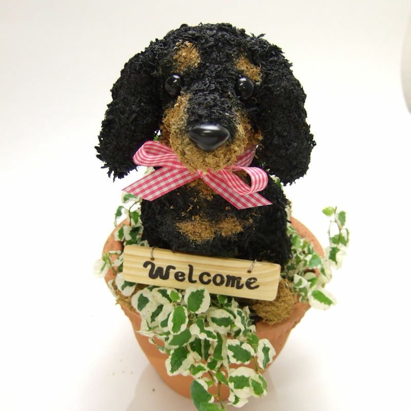 ダックスのトピアリー