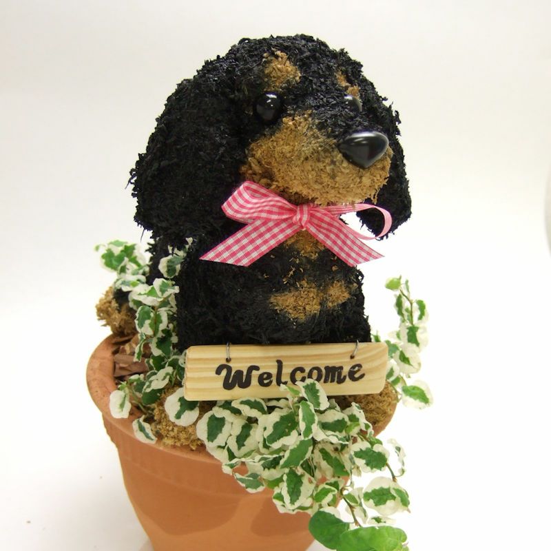 トピアリー鉢植え　ダックス