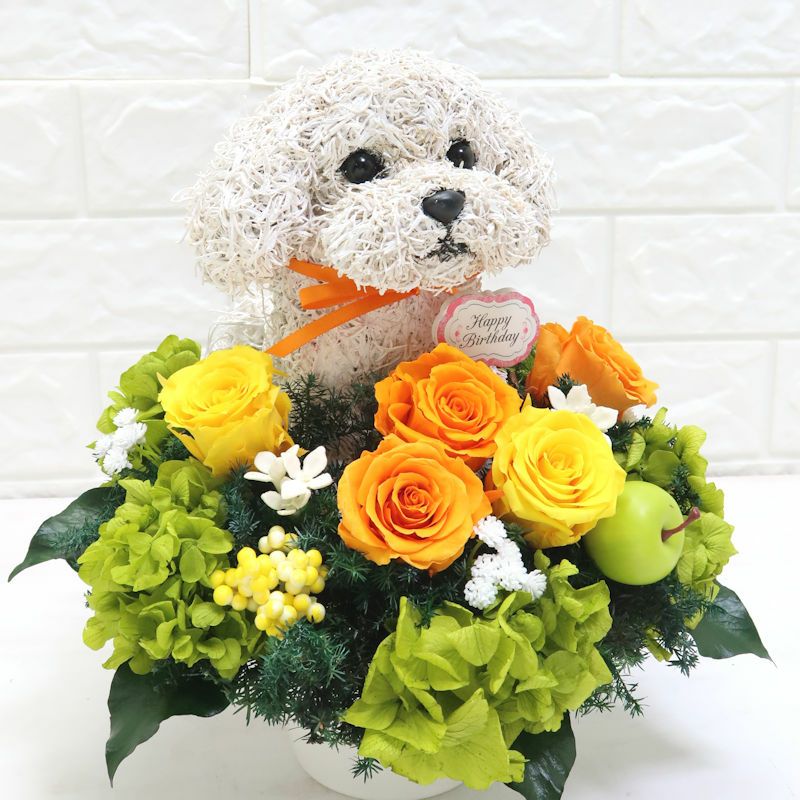 犬好き誕生日プレゼント