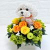 犬好きプレゼント　マルチーズ