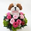 シーズー犬　プリザーブドフラワーアレンジ