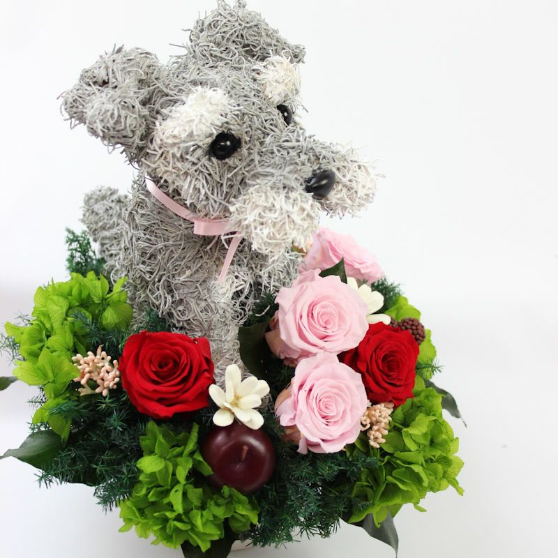 シュナウザー　花