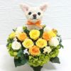 チワワ　犬プリザーブドフラワーアレンジ