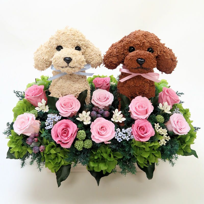 プードル プリザーブドフラワー 犬のフラワーギフト アトリエ花倶楽部