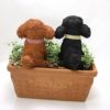 犬寄せ植え　トイプードル