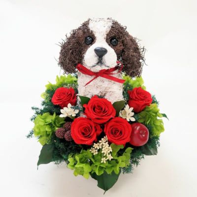 送料無料 最短当日発送 母の日ギフト プリザーブドフラワーアレンジ キャバリアp Dog Cavalier Mother P 動物トピアリー アトリエ花倶楽部 通販 Yahoo ショッピング 購入 Academyelectrical Com