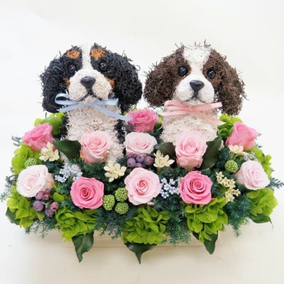 プリザーブドフラワーアレンジ犬 スムースコートチワワ Pretty 結婚