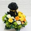 犬好き　黒パグ