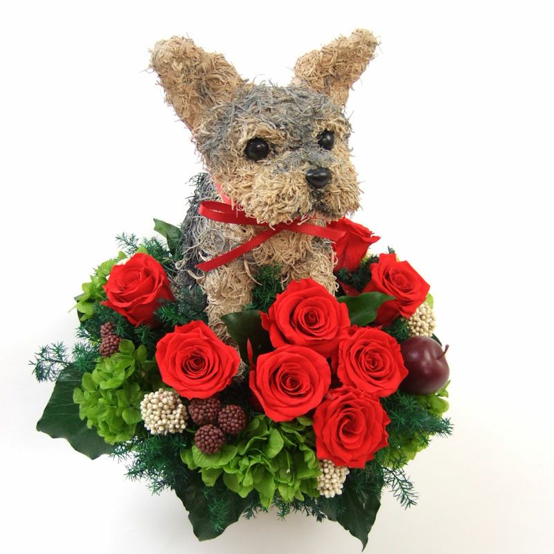 犬好きの人へプレゼント