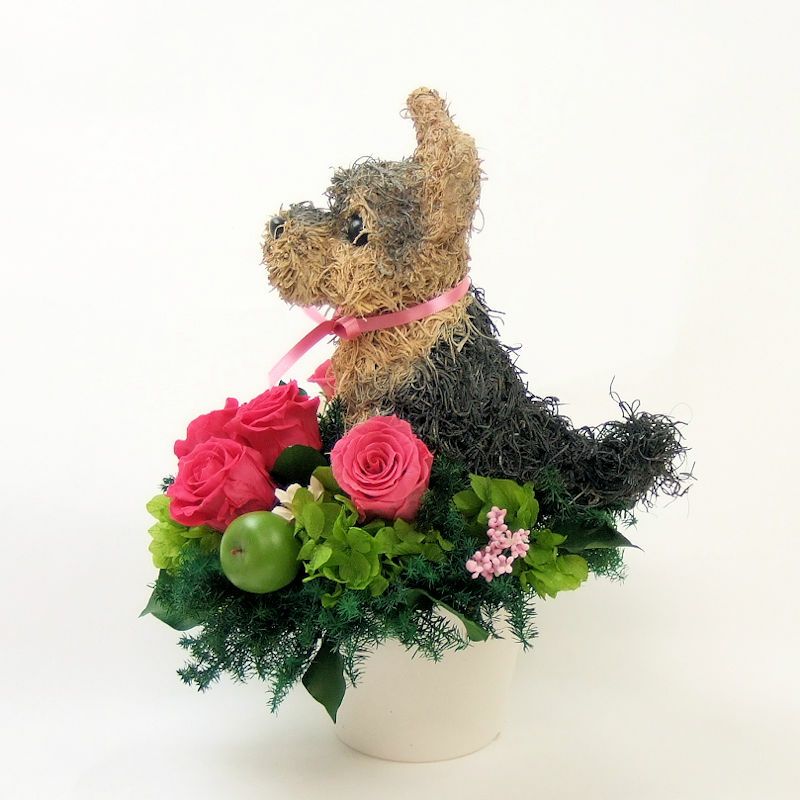 犬好きの人へプレゼント