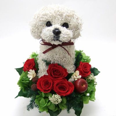 ビションフリーゼ プリザーブドフラワー 犬好きフラワーギフト 