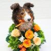 アニマルフラワー犬