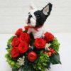 アニマルフラワー　犬